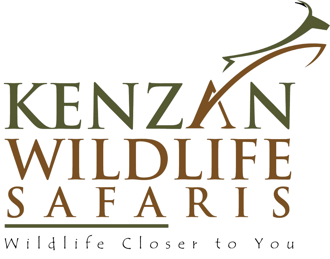 Kenzan Wildlife Tours and Safaris