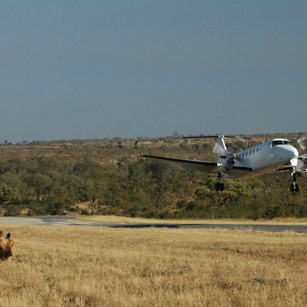 Fly-In Safari - 5 Day Great Migration Experience