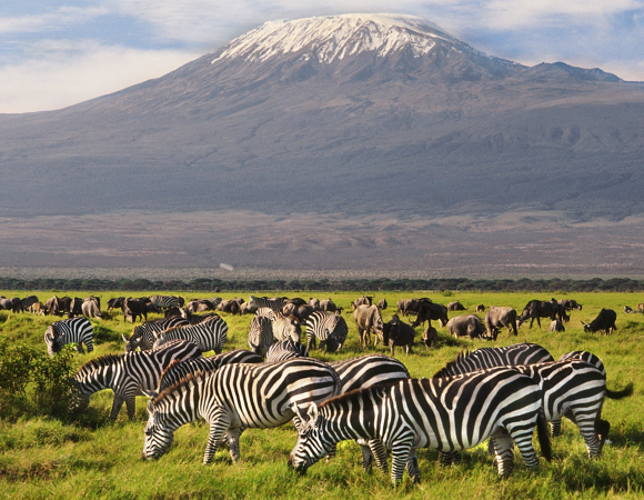 01 Night Amboseli – Sopa - Minivan