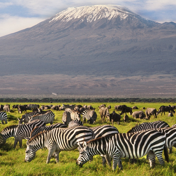 01 Night Amboseli – Sopa - Minivan