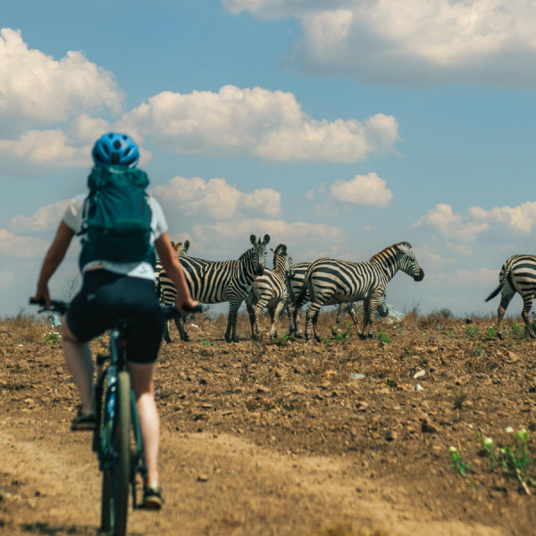 Bike Tour in Tengeru - Cultural Cycling Adventure in Tanzania’s Countryside