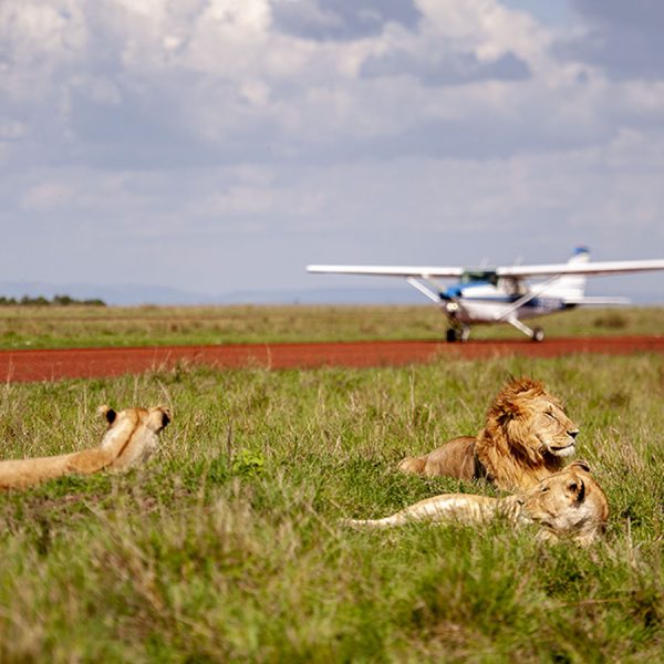 Fly Me to Mount Kenya & Masai Mara