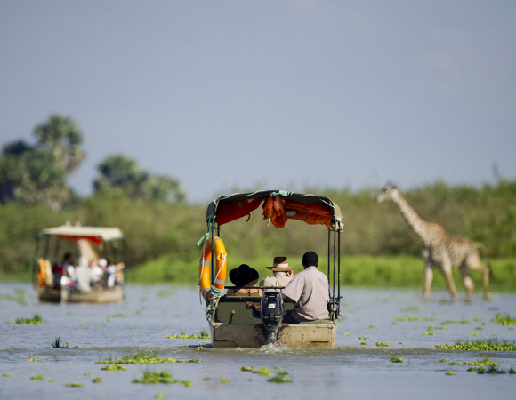 Southern Circuit Safari (Selous Game Reserve & Ruaha National Park) 7 Days/6 Nights