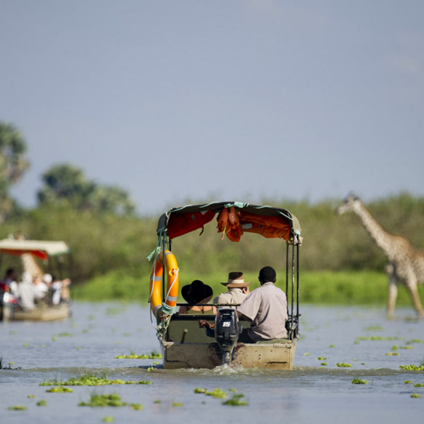 Southern Circuit Safari (Selous Game Reserve & Ruaha National Park) 7 Days/6 Nights